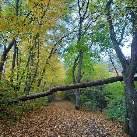 U Gustawa 아파트